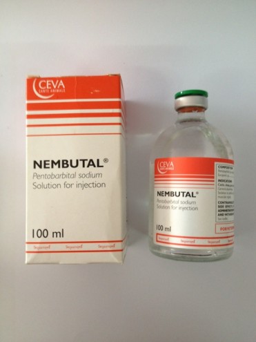 nembutal | pentobarbital